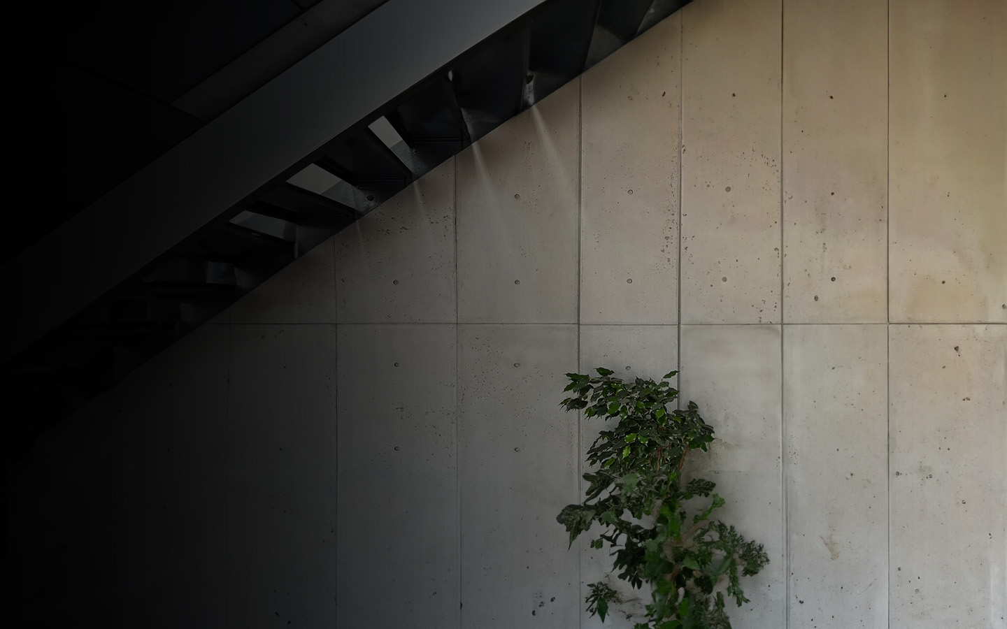 Wall Panels Product